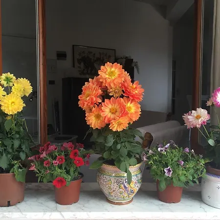 بيت للعطل La Maison Doree